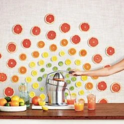 Sage The Citrus Press Pro 9 Sage The Citrus Press Pro -Kitchen appliances 800CPUK Sage The Citrus Press 3 1