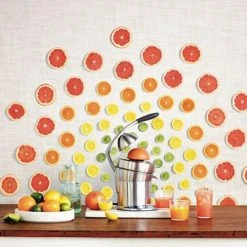 Sage The Citrus Press Pro 10 Sage The Citrus Press Pro -Kitchen appliances 800CPUK Sage The Citrus Press 4 1