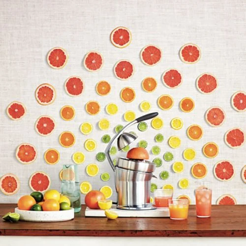 Sage The Citrus Press Pro 5 Sage The Citrus Press Pro - Image 5