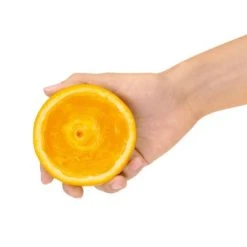 Sage The Citrus Press Tritan 10 Sage The Citrus Press Tritan -Kitchen appliances BCP600SIL Sage The Citrus Press Tritan 4